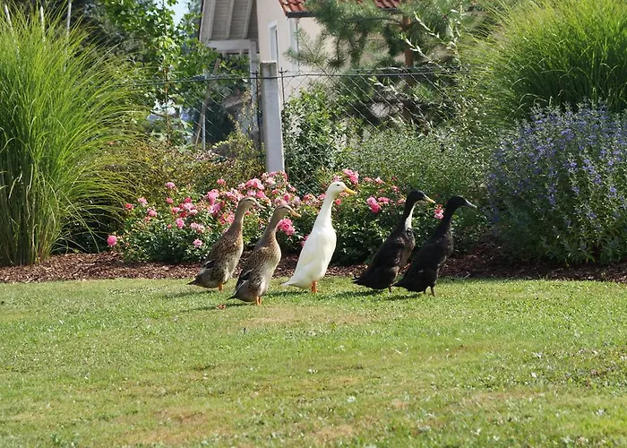 بيت ضيافة Gaestehaus Wagner